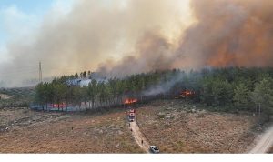 Antalya’da 4 farklı noktada orman yangını çıktı