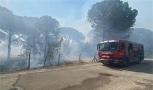 Bergama’da orman yangınına müdahale ediliyor
