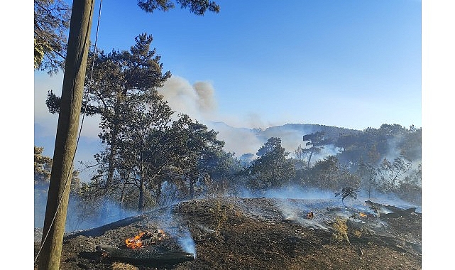 Büyükşehir ekiplerinden Akhisar’daki yangına müdahale
