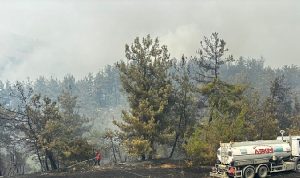 Büyükşehir’den Bursa’daki yangına tam destek