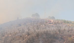 En büyük önlem, dikkat ve hassasiyet