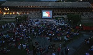 Gölcüklülerden açık havada film gösterimine yoğun ilgi