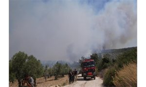 İzmir İtfaiyesi Çeşme Ildır için teyakkuza geçti