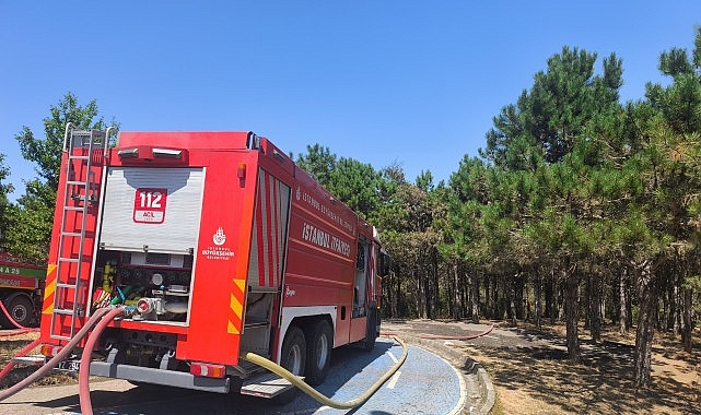 Kent Ormanı Yangını Kısmen Kontrol Altında