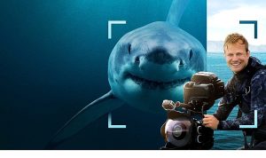 Köpekbalığı Festivali’ne Özel ‘Bertie Gregory Köpekbalıkları ile Yüz Yüze’, 13 Temmuz Pazar 20.00’de National Geographic WILD Ekranlarında!