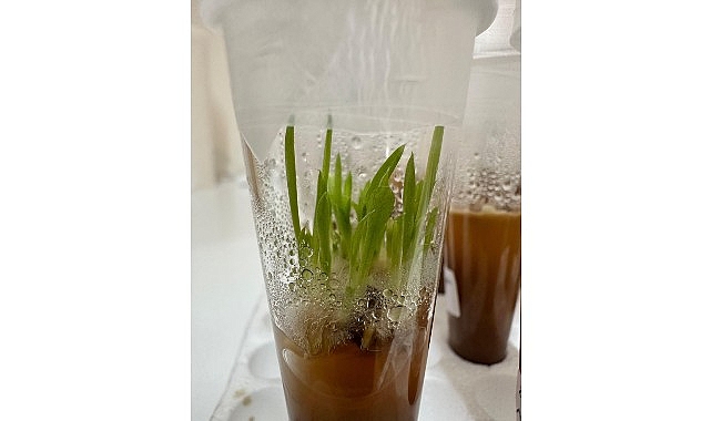 Nejdet Bozkurt, “Proje ile endemik Likya salebini koruyarak, neslinin devam etmesini sağlayacağız”