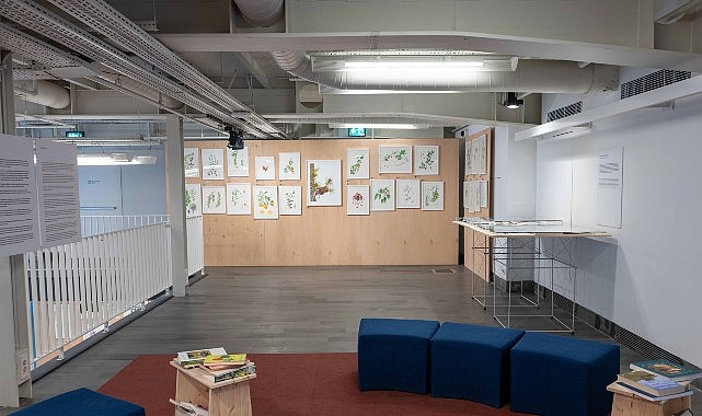 Salt Beyoğlu’nda devam eden “Hayvanların Yaşamı” ve “Anadolu’nun Bitki Mirası” sergileri paralelinde çocuklara yönelik olarak hazırlanan yaratıcı drama atölyeleri 5 Temmuz’da başlıyor.