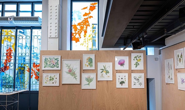 Salt Beyoğlu’ndaki Mutfak’ta devam eden “Anadolu’nun Bitki Mirası” sergi ekibinden Burçin Çıngay’ın rehberliğindeki turlarla yorumlamaya açılıyor.