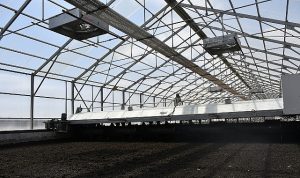 Solar Çamur Kurutma Tesisi’nde 15 ton çamur kurutuluyor