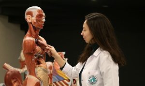 Tıp ve Diş Hekimliği öğrencilerine ezber bozan yan dal fırsatı!