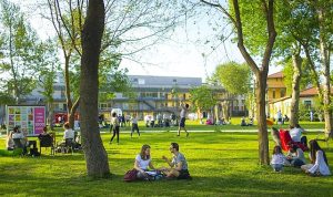 Üniversite tercih sürecinde adaylar nelere dikkat etmeli?