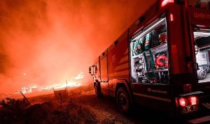 Yangınları söndürmek için canlarını siper ettiler