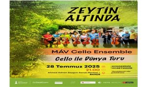 Zeytin Altında konserleri MAV Cello Ensemble ile başlıyor