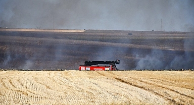 3 günde 70 hektarlık alan kül oldu