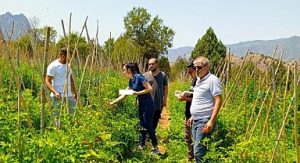 Çankaya Belediyesi’nden organik pazar denetimleri