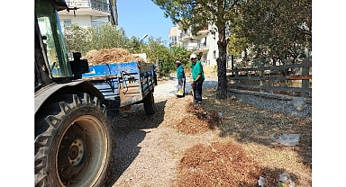 Ayvalık Belediye Başkanı Mesut Ergin; “Atmayın! Ayvalık Temiz kalsın”