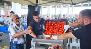 Ayvalık’ta Salça Zamanı Başladı