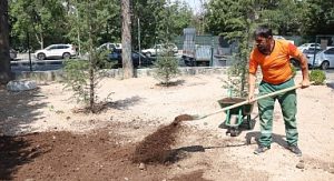 Bahriye Üçok Parkı yenilendi