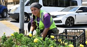 Başkan Çerçioğlu’ndan Didim’de çevre ve peyzaj düzenlemesi