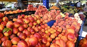 Başkan Topaloğlu’ndan pazar esnafına yeni yerinde ziyaret