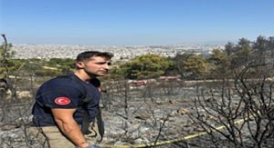 Buca ve Aliağa’da çıkan yangınlar kontrol altına alındı