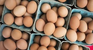 DFİF kesintisi kalktı, yumurta ihracatçısı rahatladı