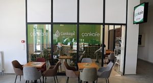 Ekonomik “Çankafe” sayısı artıyor