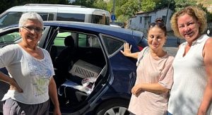 Narlıdere Belediyesi’nden minik dostlar için seferberlik