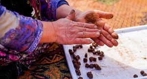 İnci GS Yuasa Akü’den doğaya 100.000 tohumluk katkı!