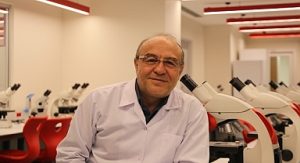 Pestisitler, arı nüfusunu da tehdit ediyor! Arıların yok oluşu zincirleme bir çöküşe sebep olur!