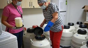 Türkiye’nin ilk Tüp Bebek Merkezinde anne baba olma hayaline bilimsel dokunuş