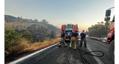 Urla yangını kontrol altına alındı