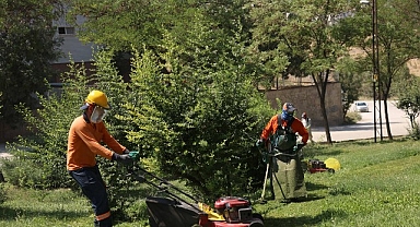 Yeşil Bir Çankaya İçin Parklarda Bakım Yapılıyor