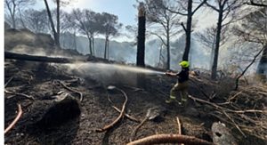 İzmir İtfaiyesi Bergama’da alevlerle mücadele ediyor