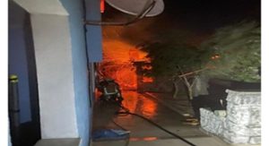 İzmir İtfaiyesi Dikili’deki yangına müdahale ediyor