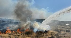 İzmir İtfaiyesi kentsel ve kırsal yangınlarla mücadele ediyor