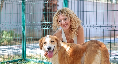 Konak’ın patili dostları ömürlük yuvalarını bekliyor