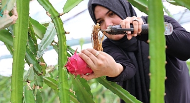 Büyükşehir’den üreticilere katma değeri yüksek alternatif ürün desteği