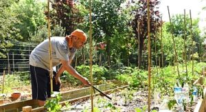 Kadıköy Bostanları’nda Kış Dönemi İçin Kayıtlar Başladı