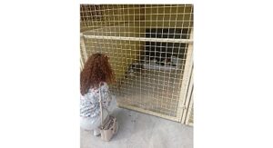 Öğrencilerden barınağa ziyaret