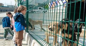 Bakioğlu Can Dostlarımız Yaşam Merkezi öğrencileri ağırlıyor