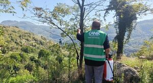 Canik Belediyesi’nden Kokarca Zararlısına İlaçla Müdahale