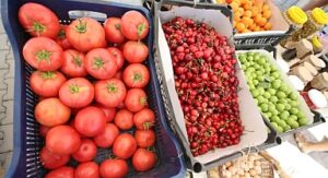 Efes Tarlası Yaşam Köyü’nde Üretici Pazarı 19 Ekim’de kapılarını açıyor