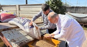 Seyyar selektör makinesi çiftçilerin hizmetinde