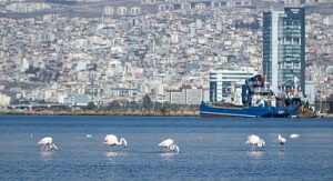 İzmir’in gelecek yarım asrı şekilleniyor