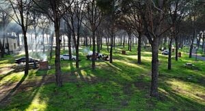 Altınova Mesire Alanı Hizmete Açıldı