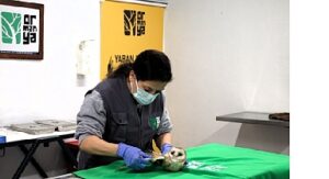 Bu merkez yaban hayvanlarına umut oluyor