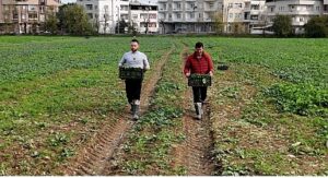 Osmangazi Belediyesi Doğal Üretimle Sofralara Sağlık Sunuyor