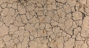 TEMA Vakfı: Toprak Yoksa Su, Su Yoksa Gıda Yok!