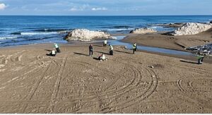 Büyükşehir’le temiz kıyılar, güçlü yarınlar